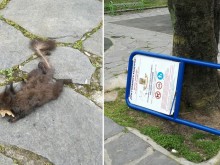 Изродщина и див вандализъм на Бунарджика