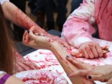 Веганите: Спрете избиването на бебета агънца, тонове риба, предколедните прасета!