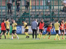 БФС пита Ботев (Пд) за дублиращ отбор във Втора лига