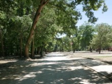 В "Розариума" става още по-красиво и зелено