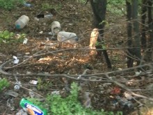 Пълно безобразие над Асеновата крепост