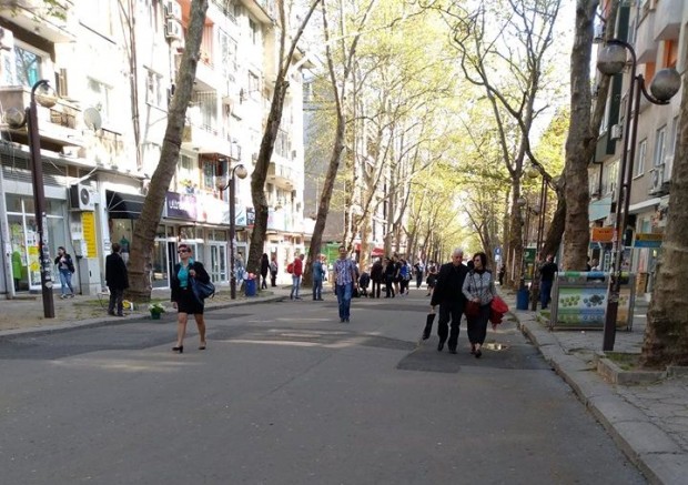 Клон падна върху количка с бебе на ценрталната улица Александровска