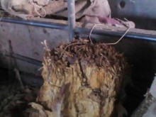 Голям удар на полицията край Пловдив