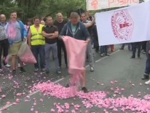 Пътна блокада: Производители на рози в Карловско протестират срещу ниската изкупна цена