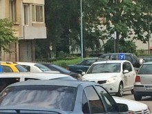 Учебни коли си харесаха пловдивска улица, изнервиха шофьорка!
