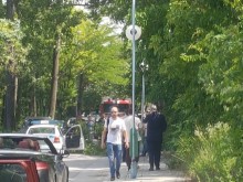 Паднало дърво затвори временно пътя край Гребната