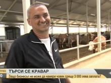 Предприемач дава 3000 лева заплата в Пловдивско, няма желаещи