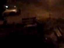 15 бездомни кучета стресираха пловдивчани