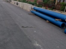 Читателка на Plovdiv24.bg засне голяма змия в Пловдив