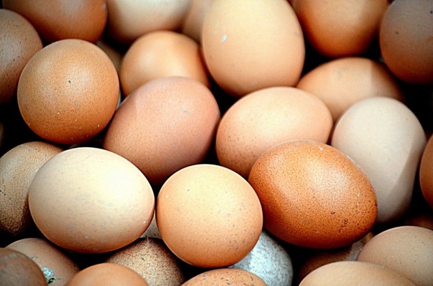 Спешно се изтеглят от търговската мрежа около 1 1 милиона яйца