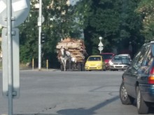 Ромска каруца мина като на парад през пловдивско кръстовище