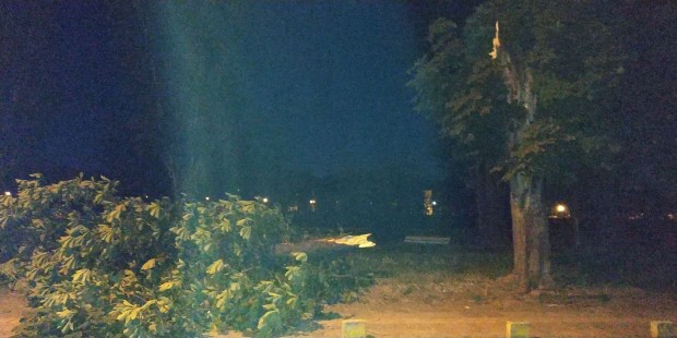 Точно пред Община Марица в Пловдив падна дърво и помете