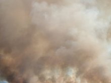 Подпалиха 200 бали люцертна