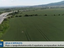 Момиче открито между мантинелите на "Тракия", търси съкровище