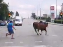 Абсолютен потрес! Това се случва в Пловдив!