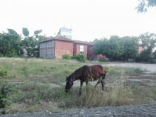 Гледка от Дивия Запад или от район "Централен"?