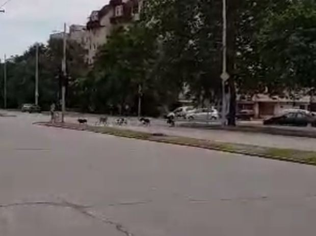 Стряскащо видео изпрати до Plovdiv24 bg наш редовен читател От думите