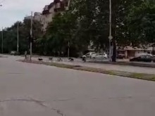 Стряскащи кадри: Глутница кучета подгони пловдивчанин!