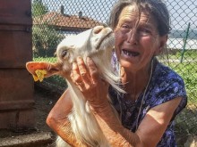 Ридаеща от мъка, че избиват животните й, баба разтърси България
