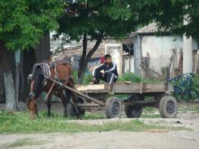 Шофьор се блъсна в каруца без светлини, водачът й супер пиян