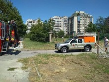 Вече е ясно кой е загиналият в Пловдив мъж