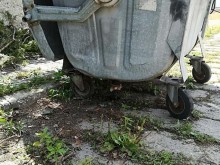 Нечувани мъки преживя едно животинче в Ягодово (18+)