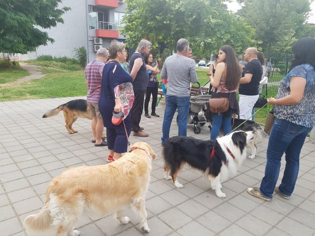 Blagoevgrad24.bg
Домашните кучета да се разхождат с памперс. Тази мярка, за