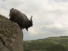 Днес е стартът на София Филм Фест в Пловдив