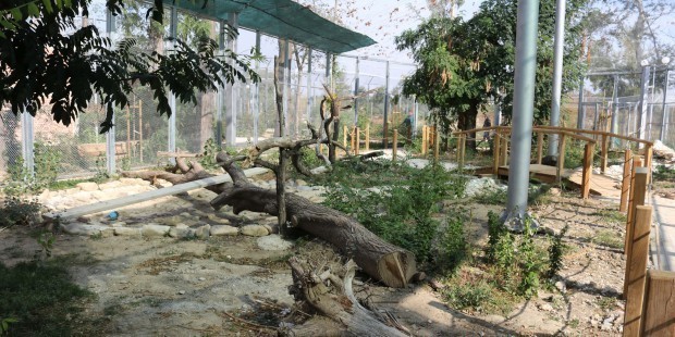 Строителството на зоологическата градина ще бъде рестартирано в най скоро време