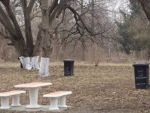 Продължава работата по облагородяване на Розариума