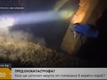 Министър Димов: Няма опасност за сезона и туристите, ситуацията с разлива на мазут е овладяна