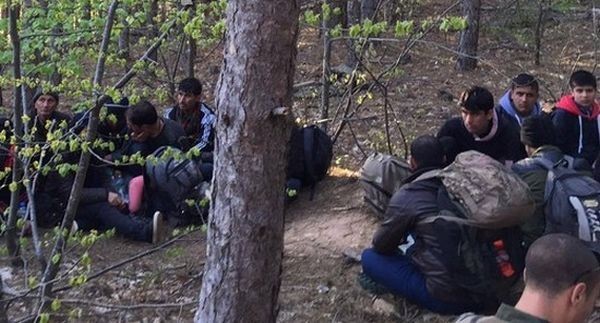 14 нелегални емигранти – млади мъже, са задържани днес следобед