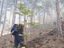В балкана над Карлово е ужас! Буквално се пълзи по хълма, всичко се гаси на ръка