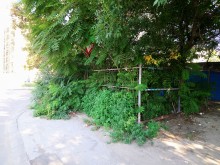 Докога? Елементарен за решаване проблем се оказва непосилен за кмета на "Източен"