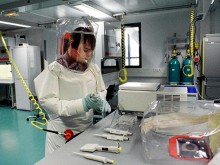 Гастербайтерите носят опасни вируси у нас