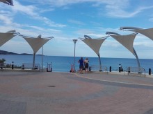 Много странно явление в Черно море, водата става все по-топла