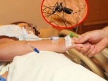 Пловдивчанинът със западнонилската треска бил в кома!