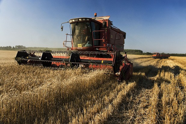 2 000 регистрирани земеделски производители от Бургаска област са получили субсидии