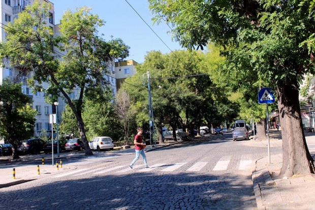 Над 200 пешеходни пътеки в Пловдив са обновени от специализираното