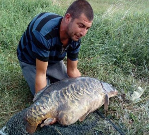 Гигантски 32-килограмов шаран бе уловен на езеро край София. Уникалното