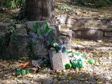 Пловдивско семейство се разочарова след разходка в "Централен"