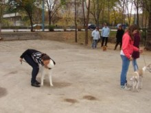 Откриват нова площадка за кучета в "Тракия"