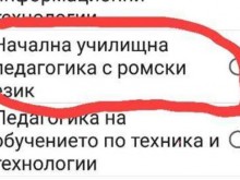 Дъното! МОН принуждава учители да учат ромски език