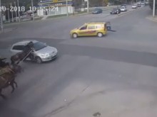 Една от най-странните катастрофи, ставали някога в България