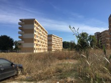 Облагородяват пространствата около новите общежития на ПУ