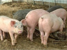 ������ ������� ������� ��������� �� ������� ������ ������� �������