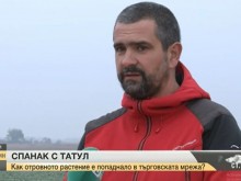 Отровният спанак пакетиран на 3 км от Пловдив!