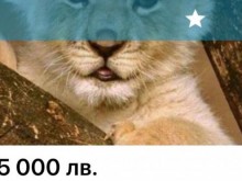 РИОСВ Пловдив провери сигнала за продажба на лъв в известен сайт