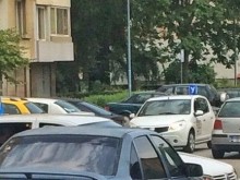 ГДНП, НАП и ИАА нахлуха в пловдивска автошкола!