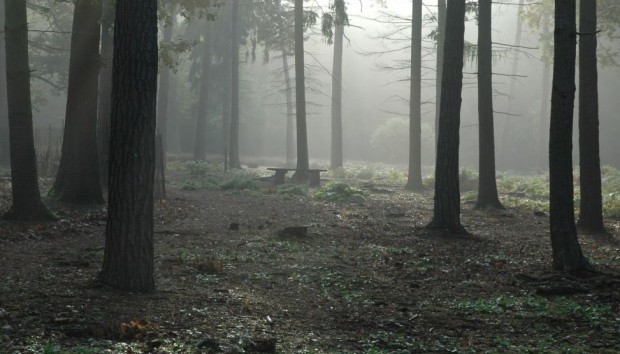 Двама души са изчезнали в гората край поморийското село Козичино